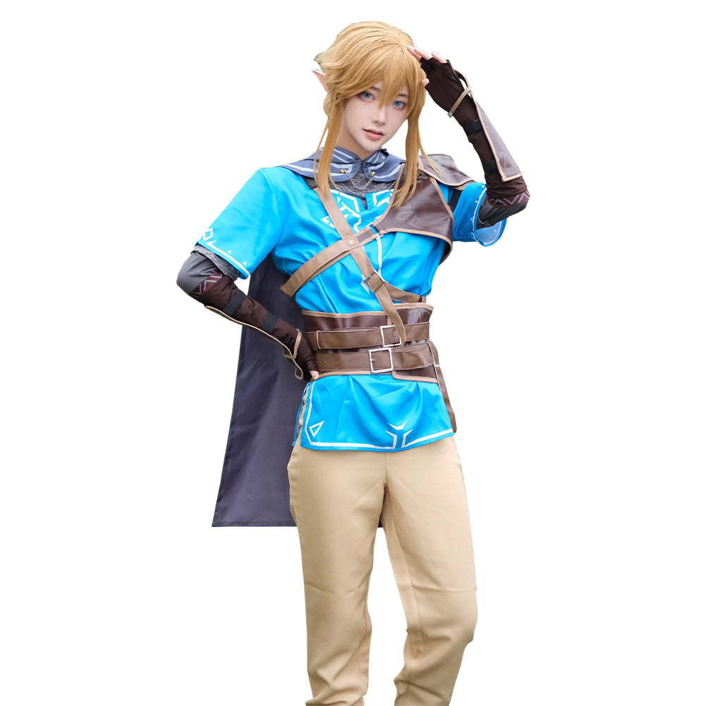 Tears Of The Kingdom Link Costume