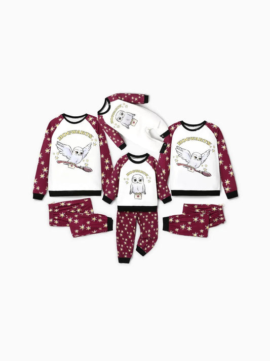 Harry Potter Owl Design Christmas Family Pajama Set Baby 3M