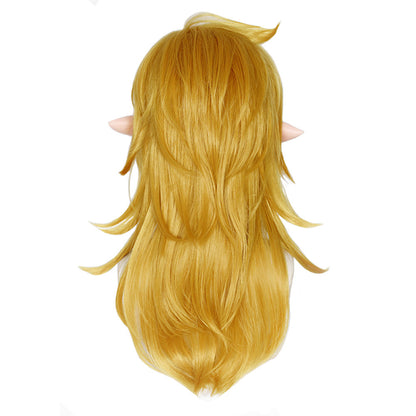 Kingdom Link Cosplay Wig