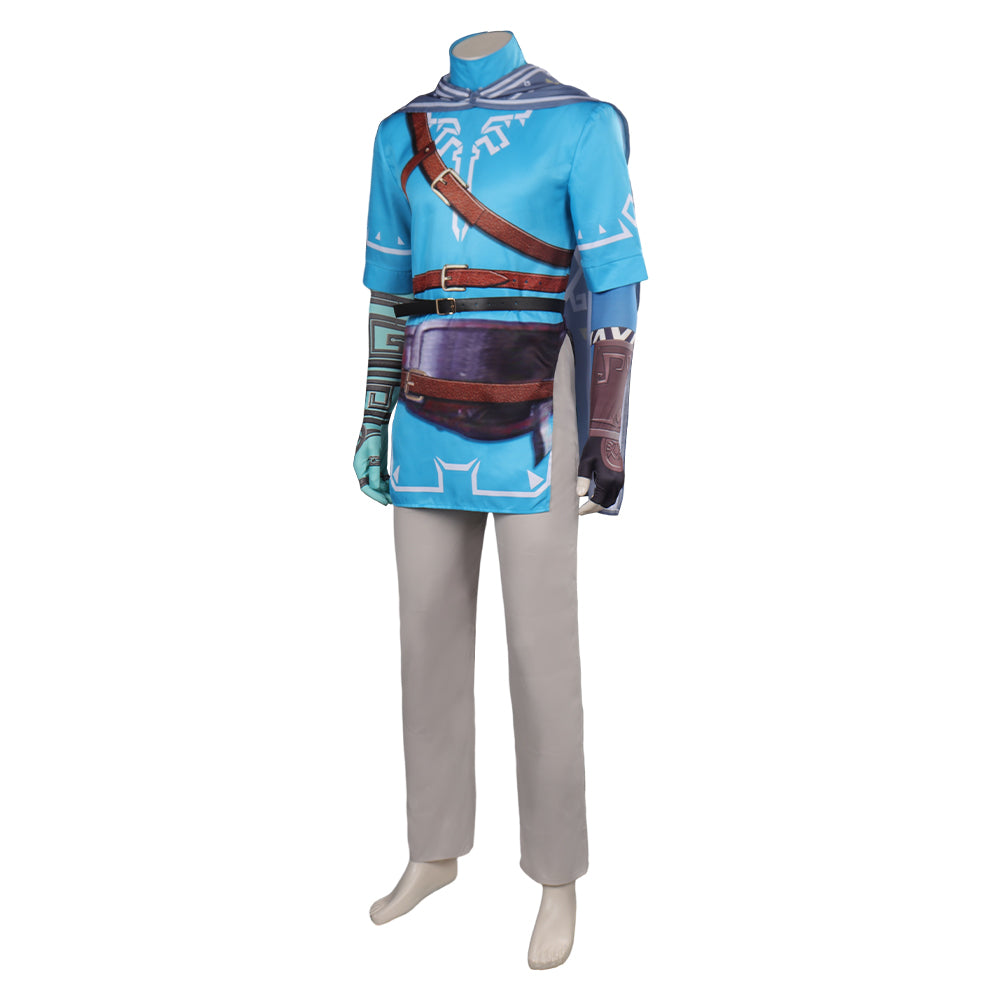 Tears Of The Kingdom Link Cosplay Print Costume