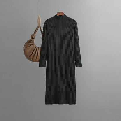 Turtleneck Tunic Knitted Slim Fit Sweater Dress