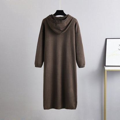 Warm Hooded Thick Sweater Top For Women